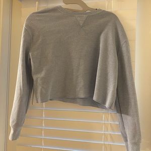 Long Sleeve Blue Crop